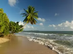 Мартиника, фото 33