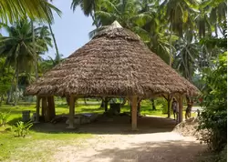 Реконструкция цеха по переработке кокосовых орехов