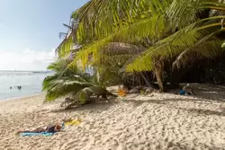 Пляж Анс Сурс д’Аржан на острове Ла-Диг, фото 59