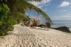 Пляж Анс Сурс д’Аржан на острове Ла-Диг, фото 60