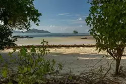 Пляж Анс Сурс д’Аржан на острове Ла-Диг, фото 84