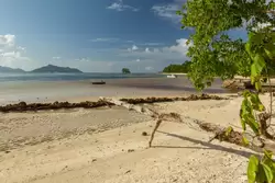 Пляж Анс Сурс д’Аржан на острове Ла-Диг, фото 86
