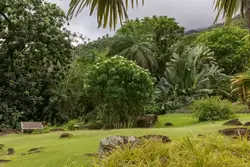 Ботанический сад на острове Маэ на Сейшелах, фото 1