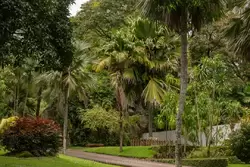 Ботанический сад на острове Маэ на Сейшелах, фото 9