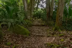 Ботанический сад на острове Маэ на Сейшелах, фото 69