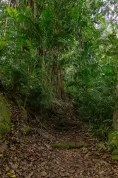 Ботанический сад на острове Маэ на Сейшелах, фото 70