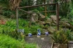 Ботанический сад на острове Маэ на Сейшелах, фото 81