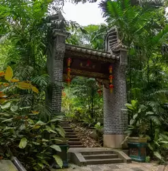 Ботанический сад на острове Маэ на Сейшелах, фото 88