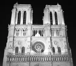 Собор Парижской Богоматери, фото 22